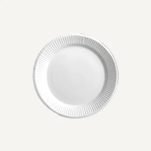 Party Plates in Kenya